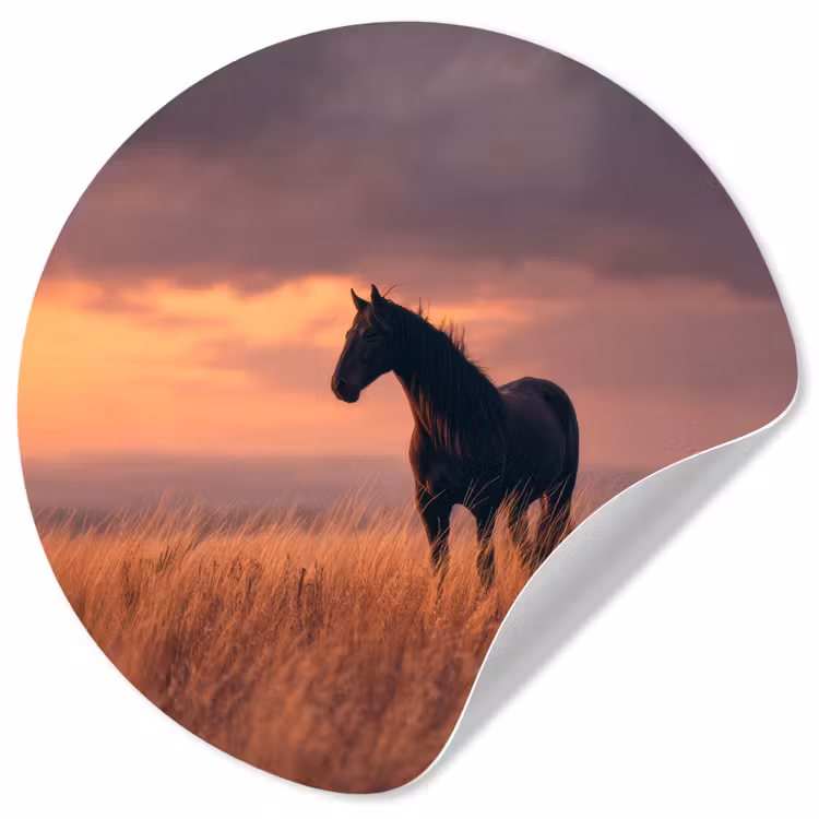 Behangcirkel - Paard - Wolken - Open veld — 1
