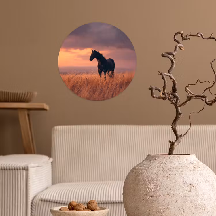 Behangcirkel - Paard - Wolken - Open veld — 2
