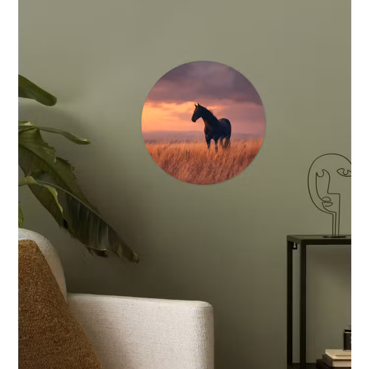 Behangcirkel - Paard - Wolken - Open veld — 3