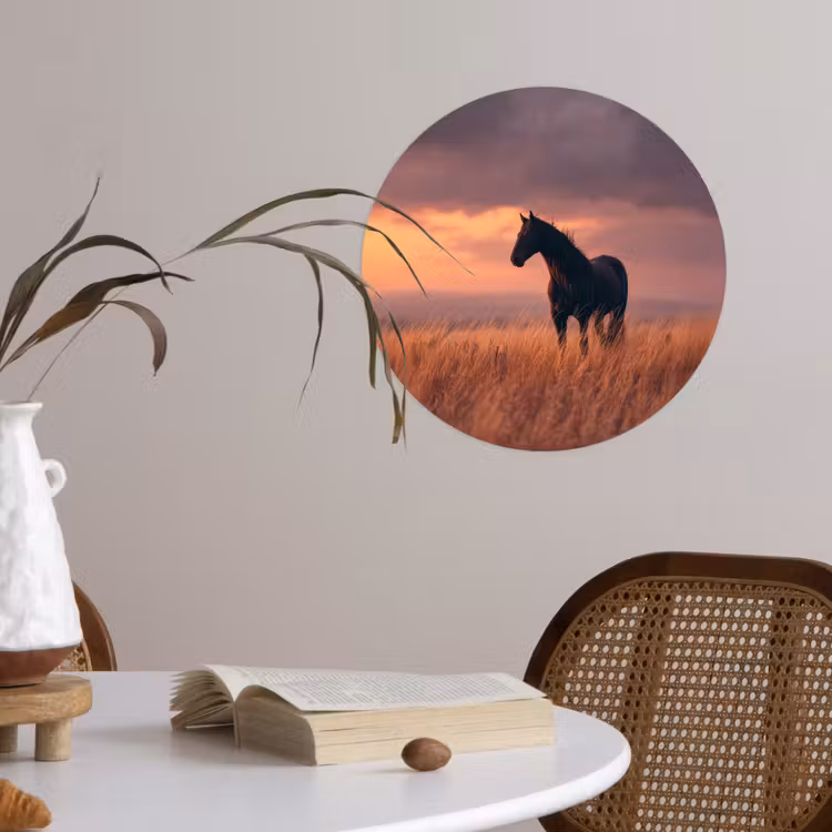 Behangcirkel - Paard - Wolken - Open veld — 4