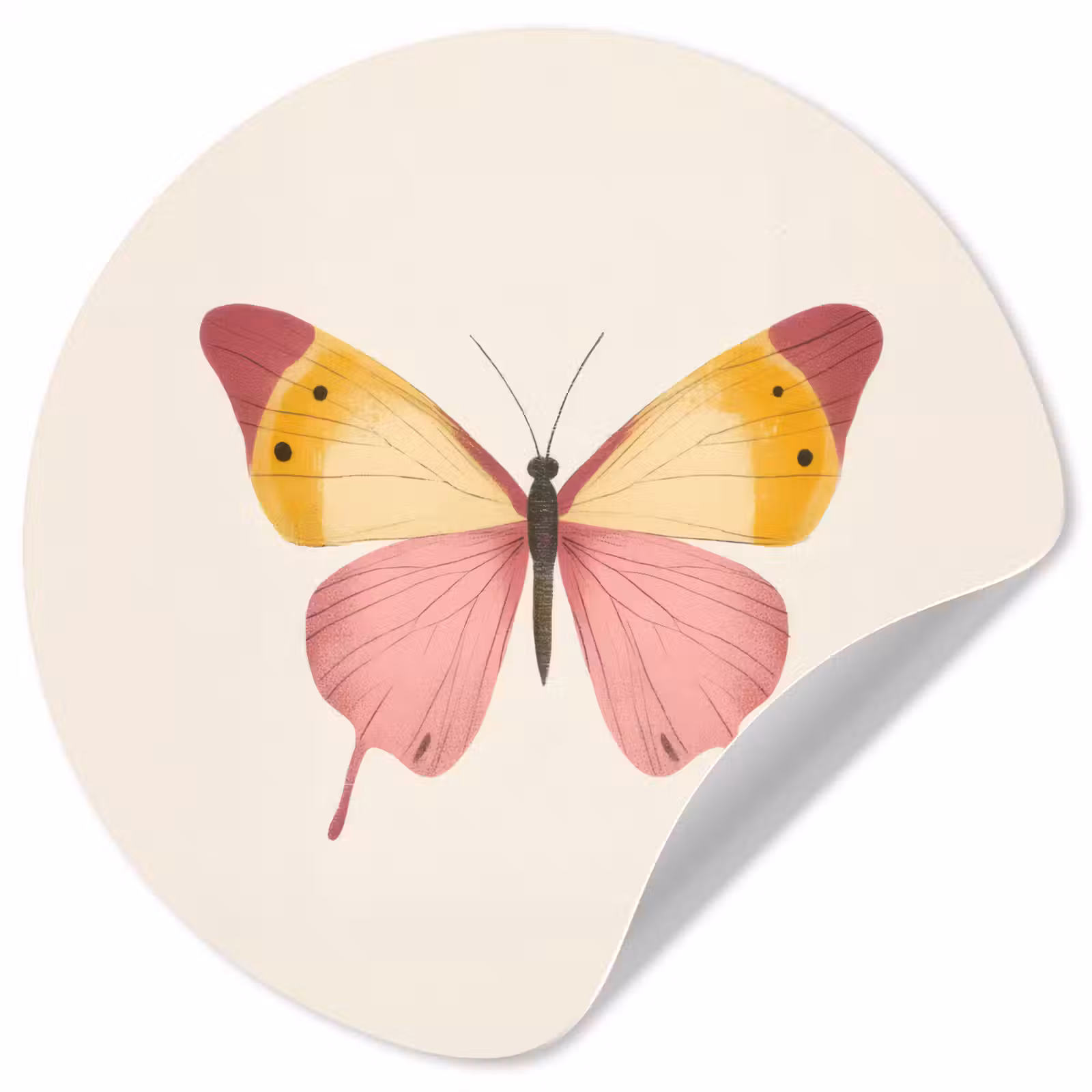 Behangcirkel - Vlinder - Illustratie - Roze — 1