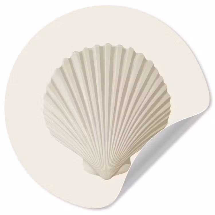 Behangcirkel - Schelp - Minimalistisch - Wit — 1