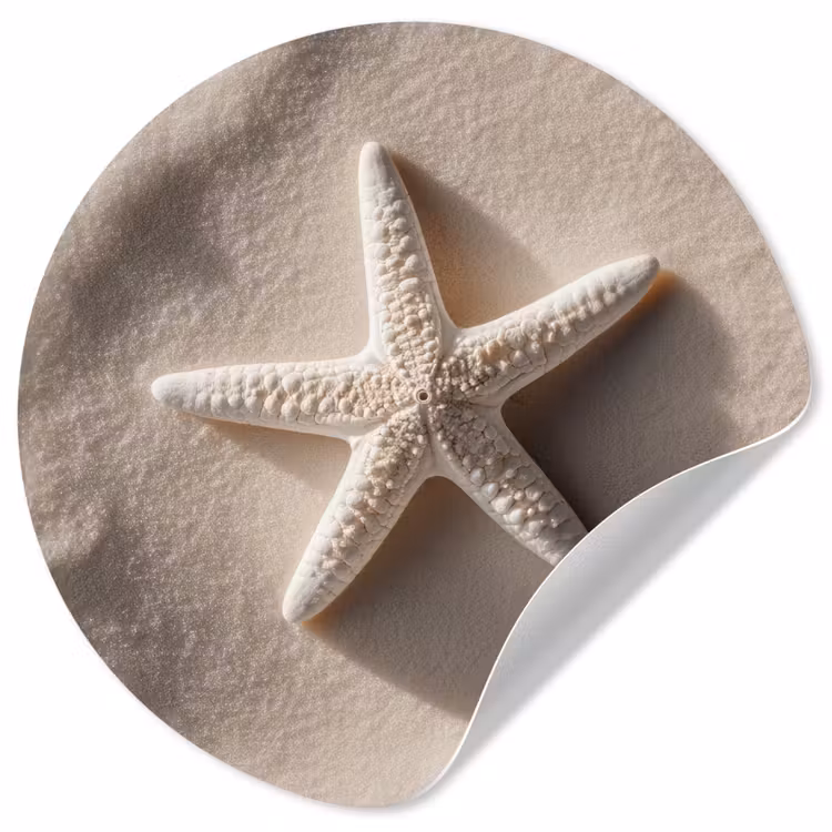 Behangcirkel - Strand - Zeester - Zand - Beige — 1