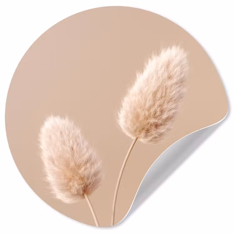 Behangcirkel - Pampas pluimen - Beige - Planten — 1