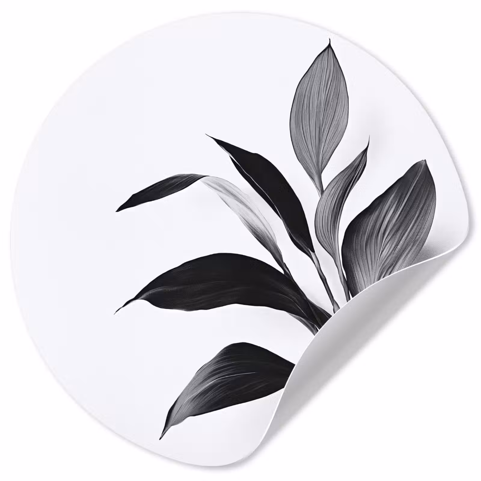Behangcirkel - Plant - Bladeren - Minimalistisch - Zwart — 1