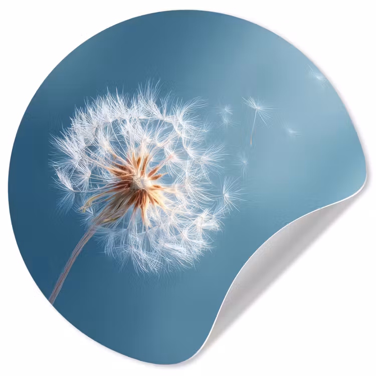 Behangcirkel - Paardenbloem - Wind - Blauw — 1