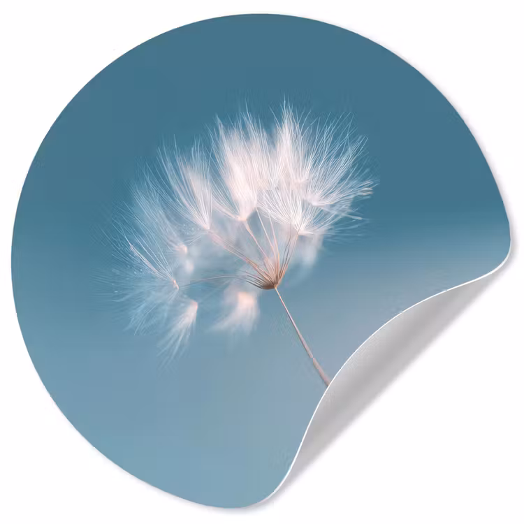 Behangcirkel - Paardenbloempluisje - Blauw - Lucht — 1