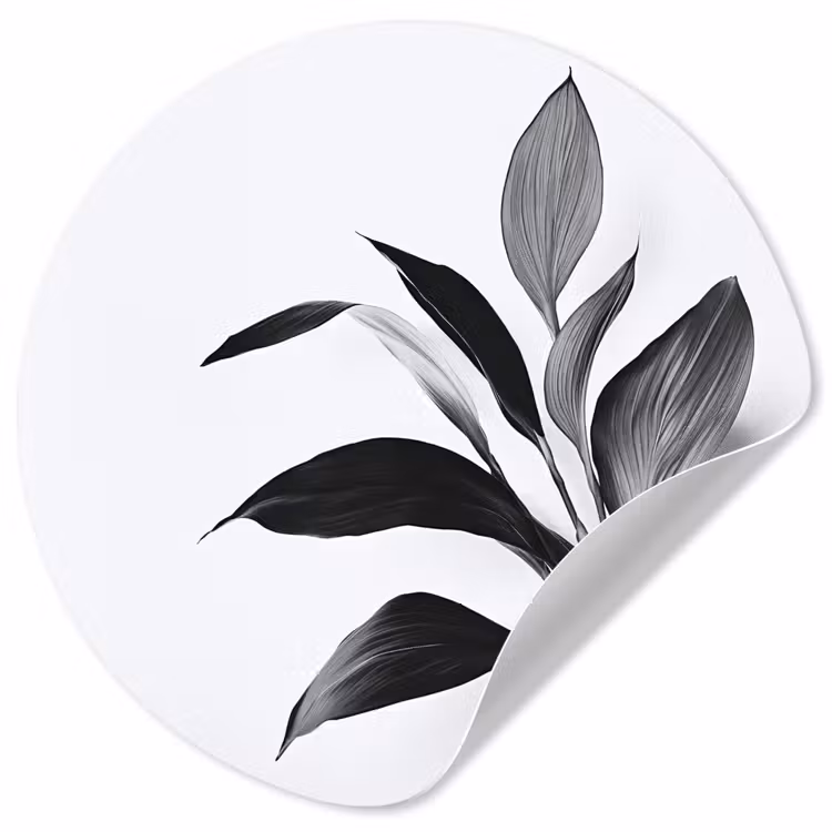 Behangcirkel - Plant - Bladeren - Minimalistisch - Zwart — 1