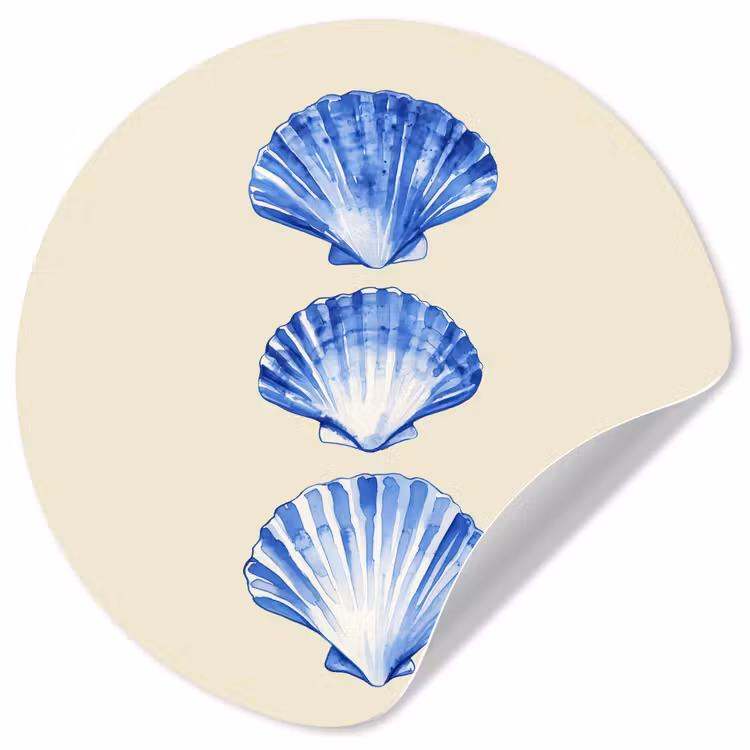 Behangcirkel - Schelpen - Blauw - Beige — 1