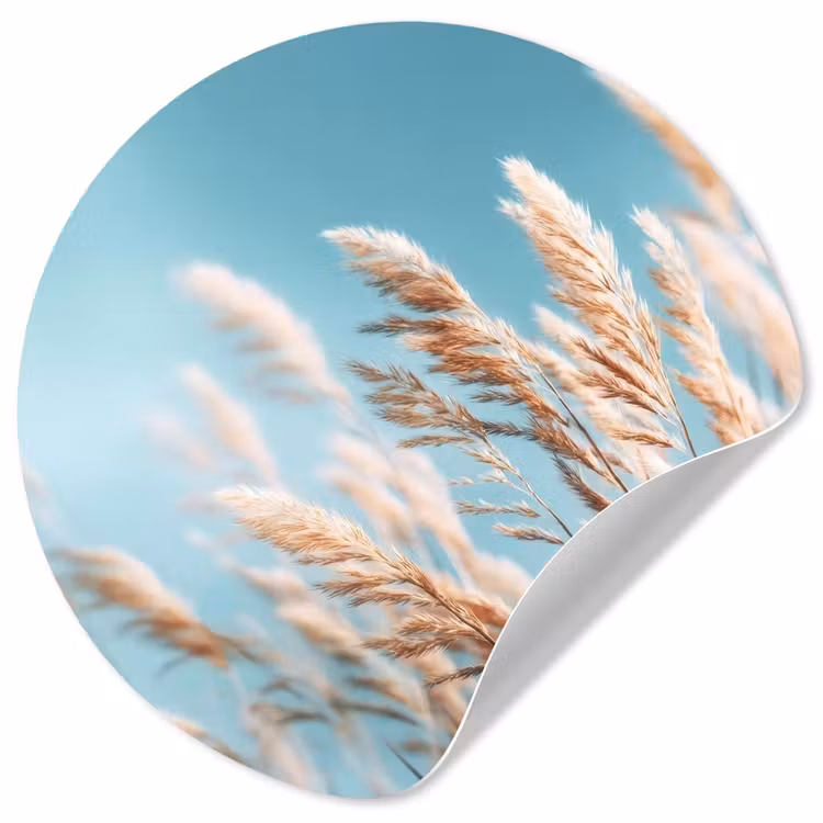 Behangcirkel - Siergras - Wind - Lichtbruin — 1