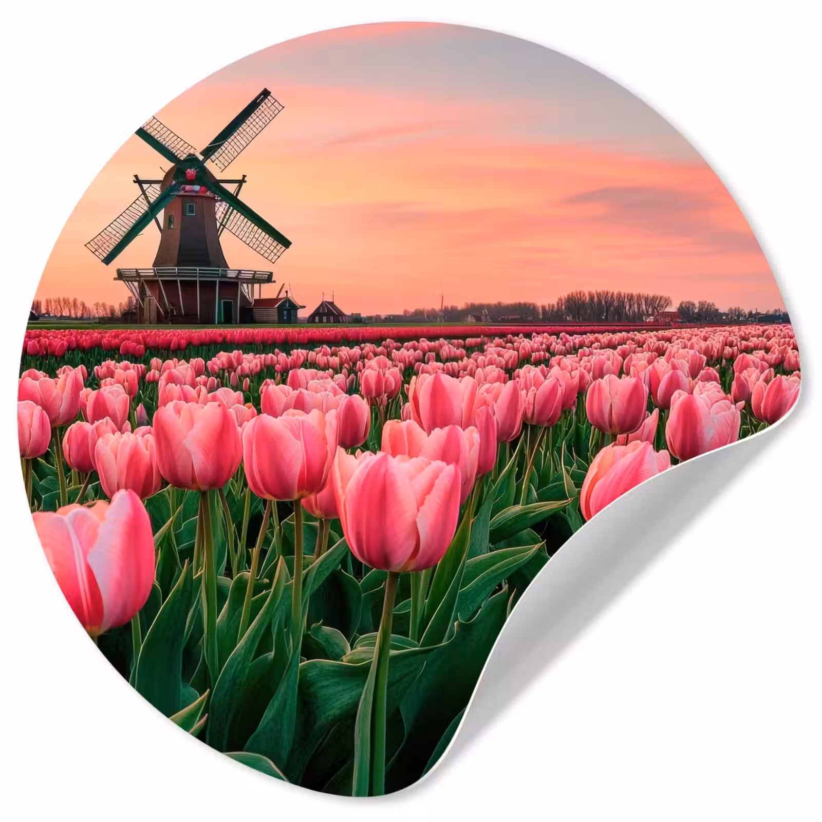 Behangcirkel - Tulpen - Molen - Nederland — 1