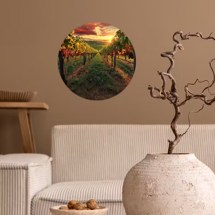 Behangcirkel - Wijngaard - Druiven - Zonsondergang — 2