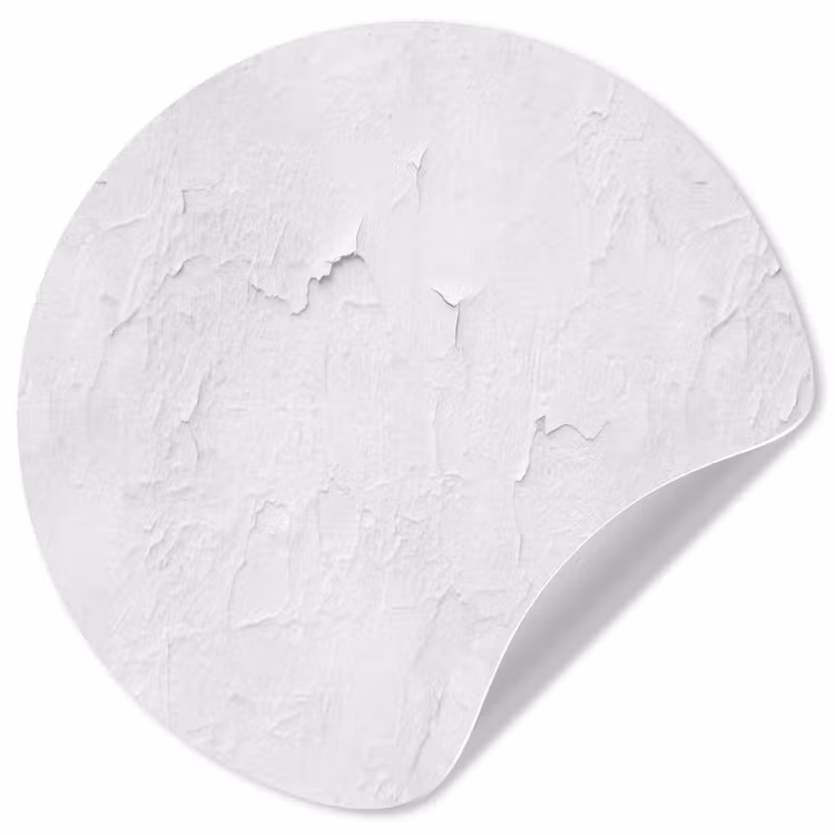 Behangcirkel - Pleisterlaag - Verf - Wit - Beschadigd — 1
