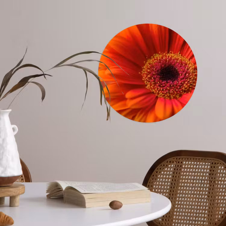 Behangcirkel - Oranje - Gerbera - Intens — 4