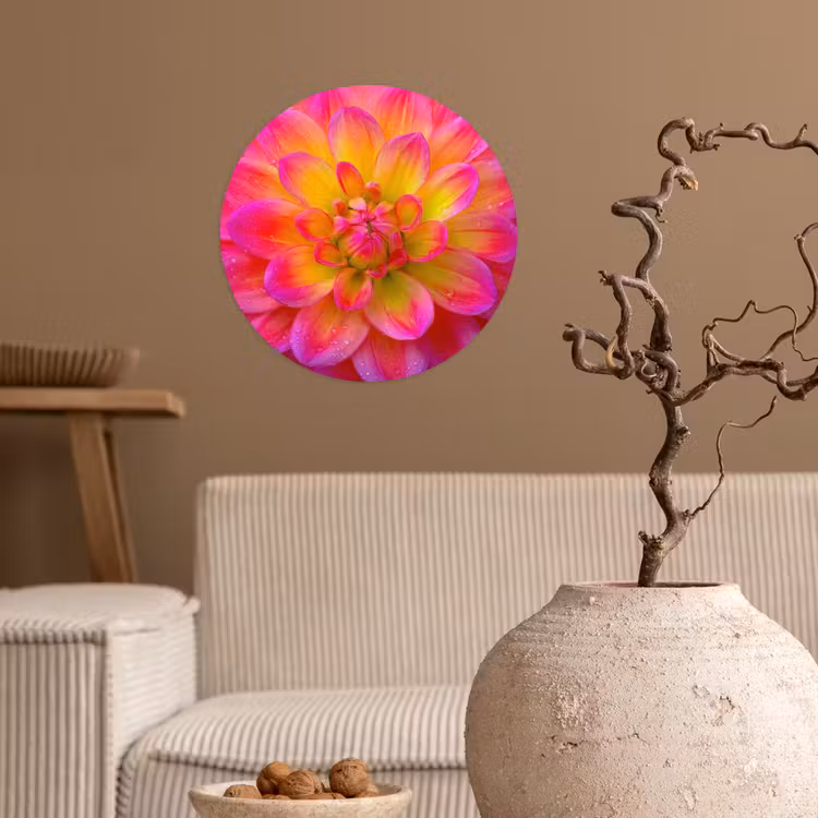 Behangcirkel - Roze - Dahlia - Kleurrijk — 2