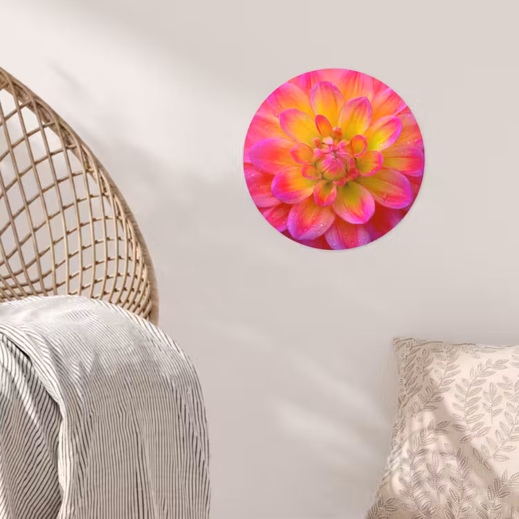 Behangcirkel - Roze - Dahlia - Kleurrijk — 5