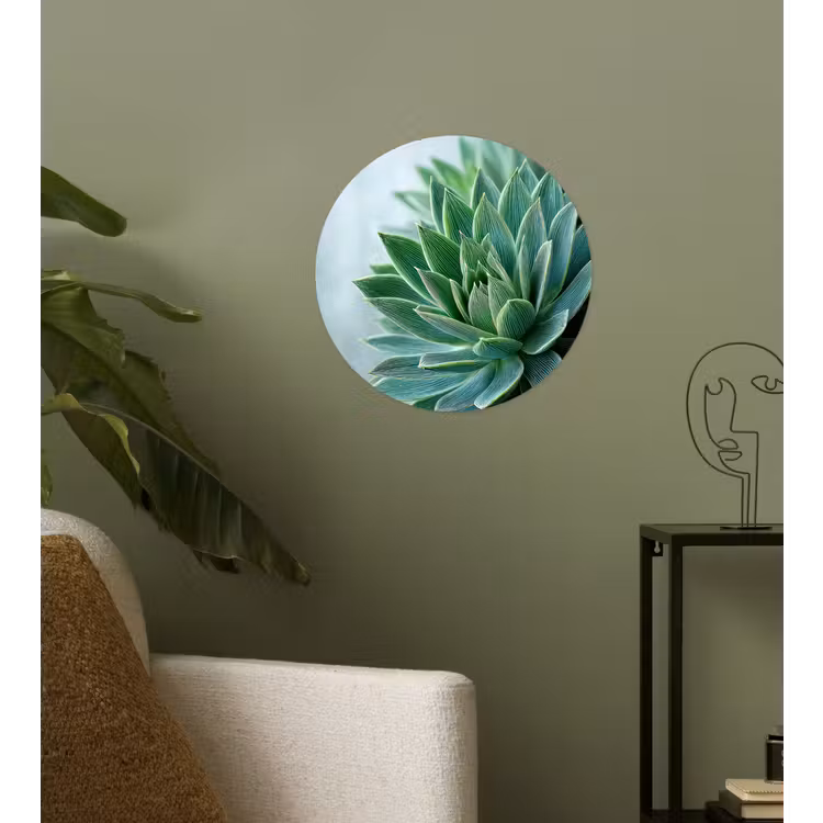 Behangcirkel - Vetplant - Bladeren - Groen - Wazig — 3
