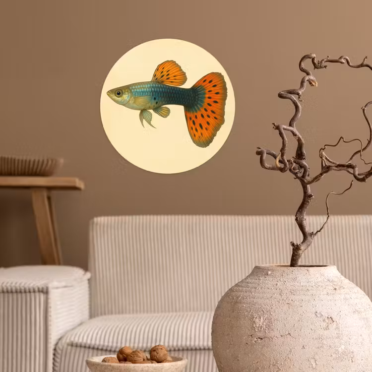 Behangcirkel - Vis - illustratie - Stippen - Oranje — 2