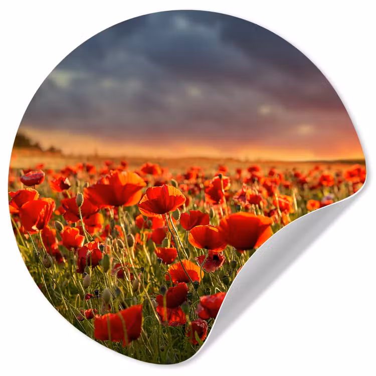 Behangcirkel - Zonsondergang - Klaprozen - Rood - Bloemen - Veld - Natuur — 1