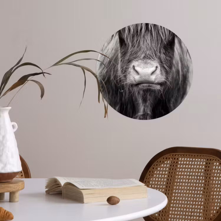 Behangcirkel - Schotse hooglander - Koe - Zwart - Wit - Dieren — 4