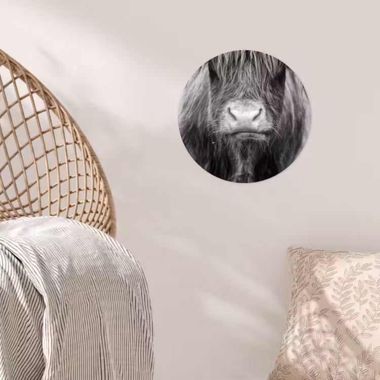 Behangcirkel - Schotse hooglander - Koe - Zwart - Wit - Dieren — 5