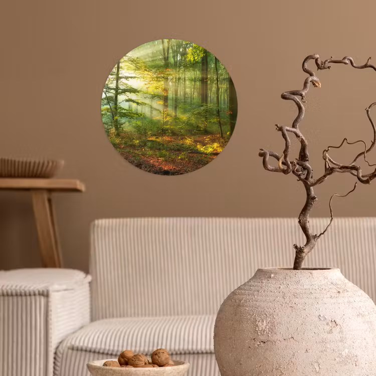 Behangcirkel - Zon - Bos - Bomen - Natuur - Herfst — 2