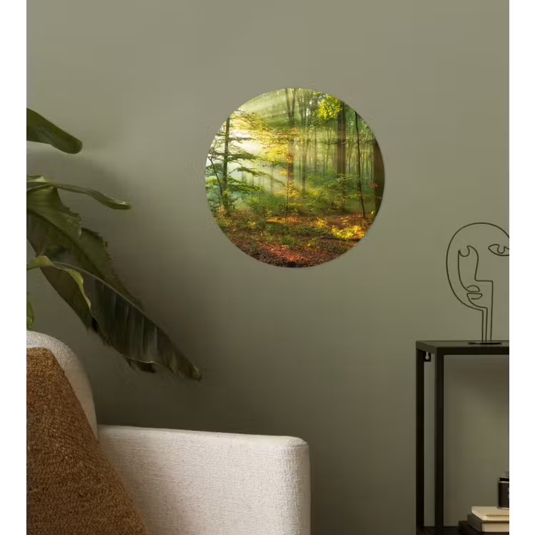 Behangcirkel - Zon - Bos - Bomen - Natuur - Herfst — 3