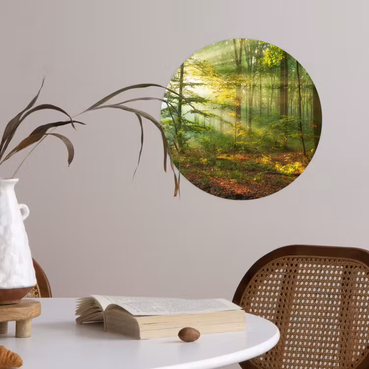 Behangcirkel - Zon - Bos - Bomen - Natuur - Herfst — 4