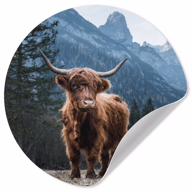Behangcirkel - Schotse hooglander - Berg - Landschap - Bomen - Koe - Natuur — 1