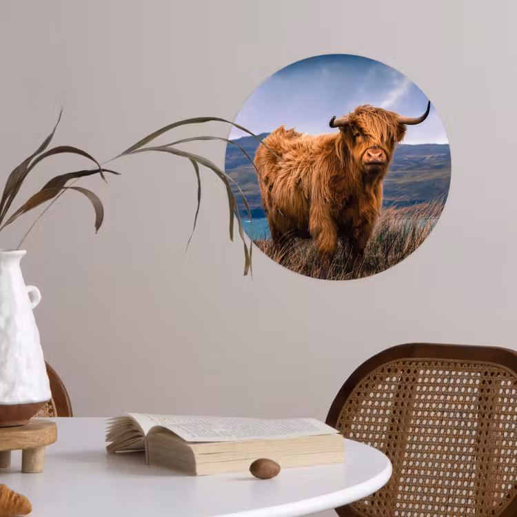 Behangcirkel - Schotse Hooglander - Berg - Water - Natuur - Koe — 4