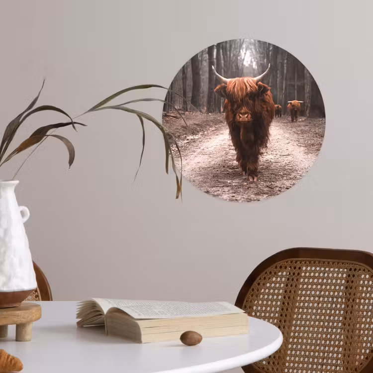 Behangcirkel - Schotse hooglander - Bos - Koe - Dieren - Natuur — 4