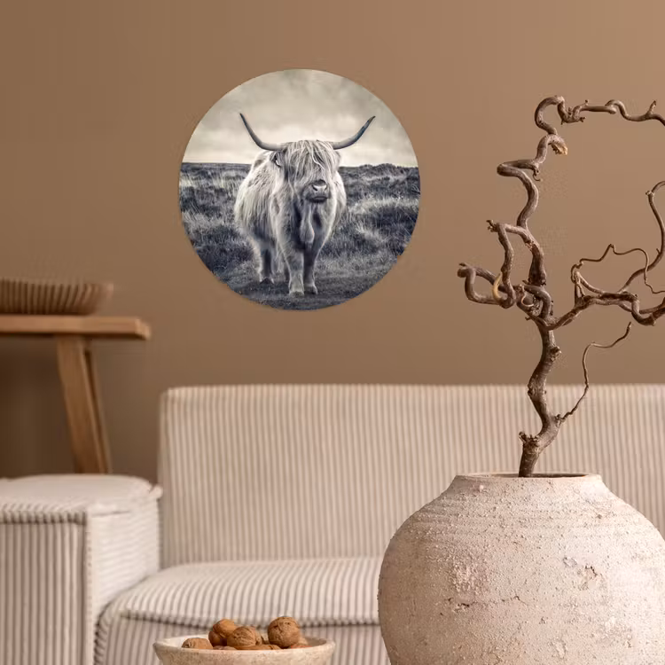 Behangcirkel - Schotse hooglander - Dieren - Wolken - Koe - Natuur — 2