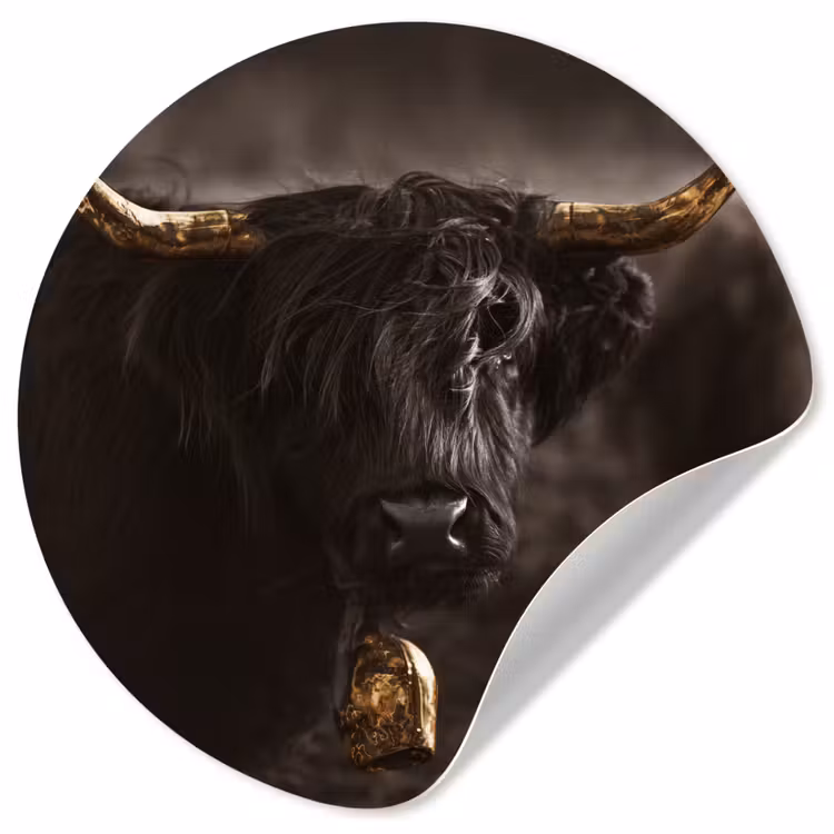 Behangcirkel - Schotse hooglander - Goud - Koebel - Hoorns - Dieren — 1