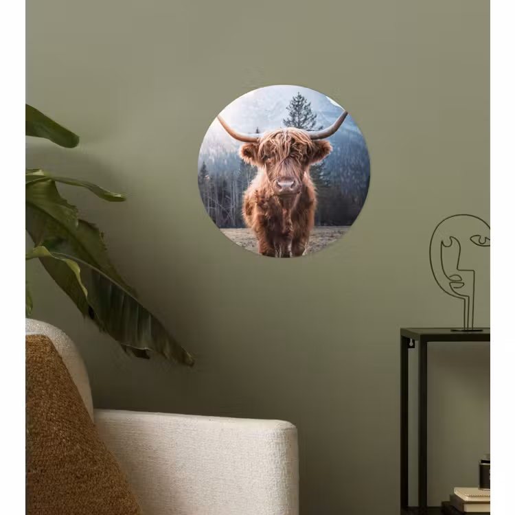 Behangcirkel - Schotse hooglander - Koe - Dieren - Berg - Natuur — 3
