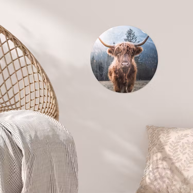 Behangcirkel - Schotse hooglander - Koe - Dieren - Berg - Natuur — 5