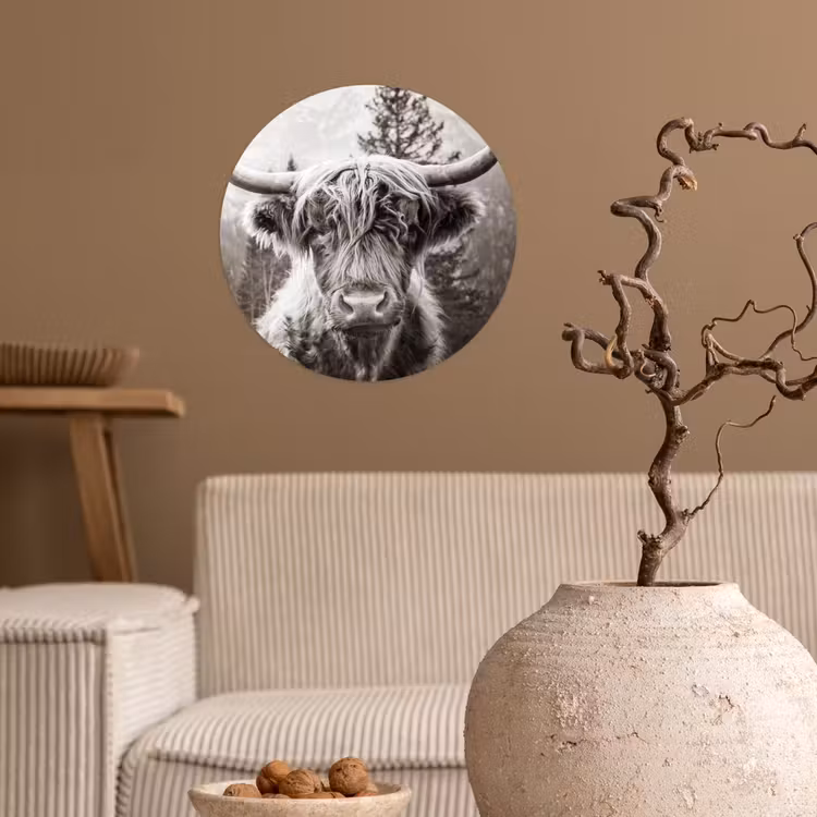 Behangcirkel - Schotse hooglander - Koe - Dieren - Zwart - Wit — 2