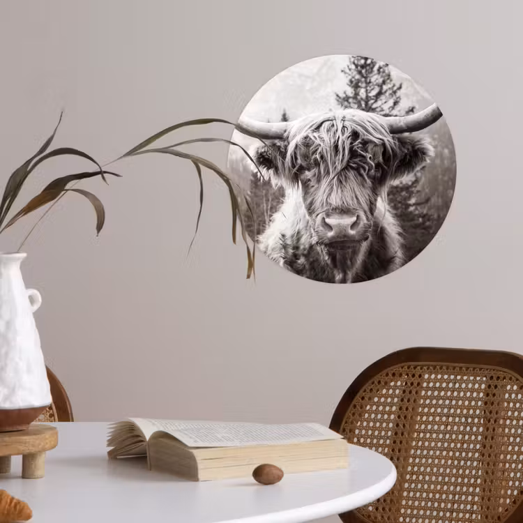 Behangcirkel - Schotse hooglander - Koe - Dieren - Zwart - Wit — 4