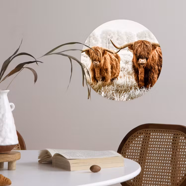 Behangcirkel - Schotse hooglander - Koe - Natuur - Winter — 4