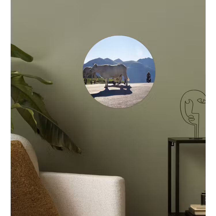 Behangcirkel - Schotse hooglander - Licht - Berg - Natuur — 3