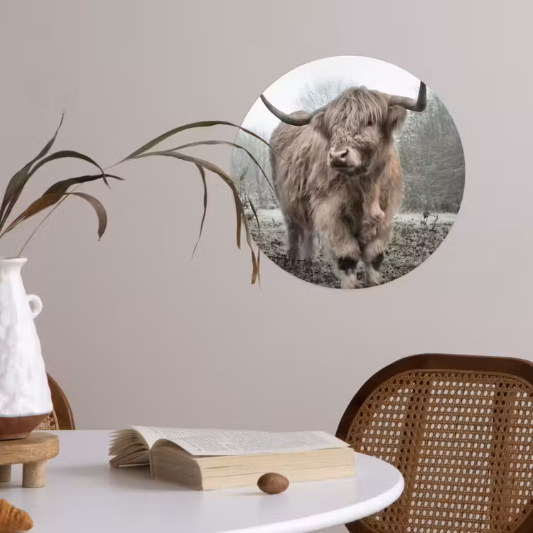 Behangcirkel - Schotse hooglander - Natuur - Herfst - Dieren - Wild - Bos — 4
