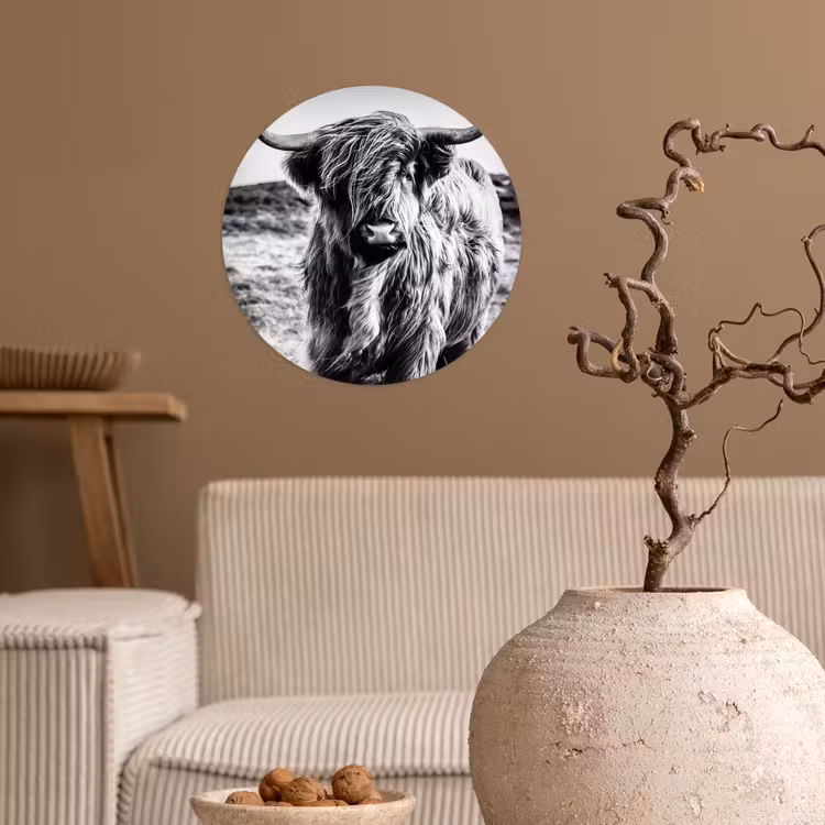 Behangcirkel - Schotse hooglander - Natuur - Koe - Zwart - Wit — 2