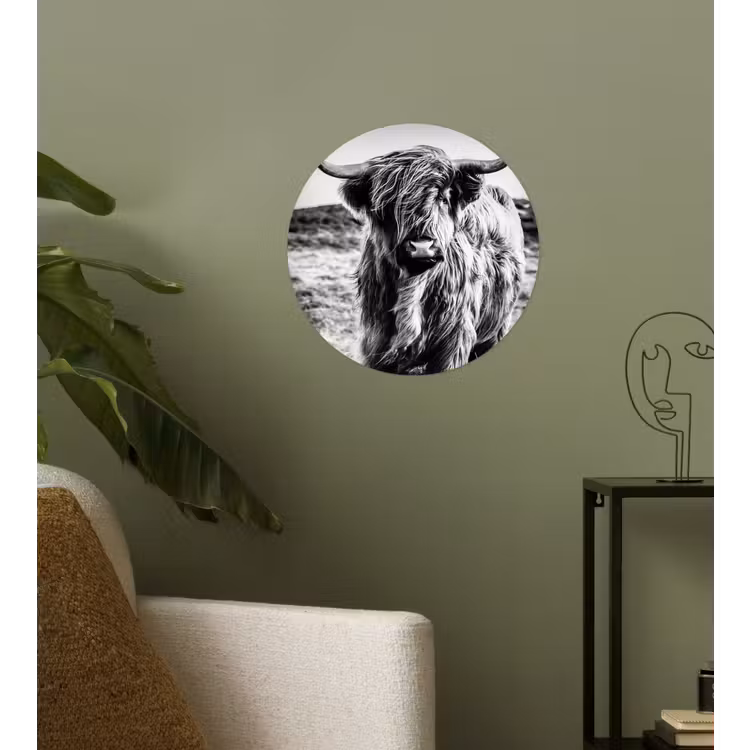 Behangcirkel - Schotse hooglander - Natuur - Koe - Zwart - Wit — 3
