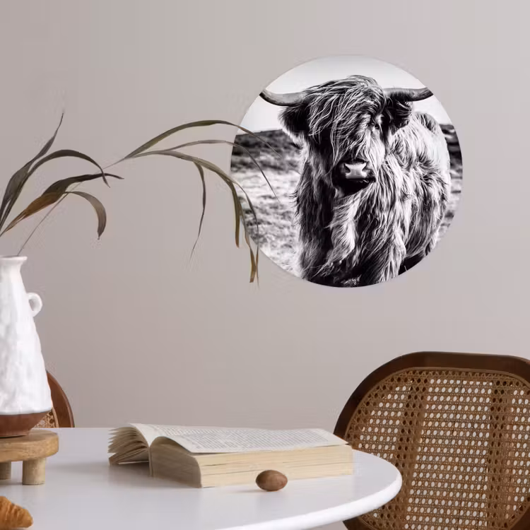 Behangcirkel - Schotse hooglander - Natuur - Koe - Zwart - Wit — 4