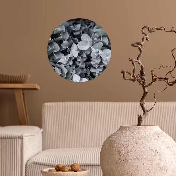 Behangcirkel - Natuur - Planten - Eucalyptus - Bladeren — 2
