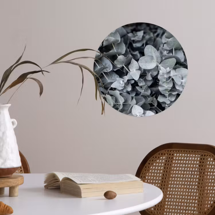 Behangcirkel - Natuur - Planten - Eucalyptus - Bladeren — 4