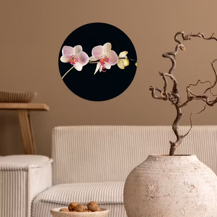Behangcirkel - Orchidee - Bloemen - Zwart - Roze - Knoppen — 2