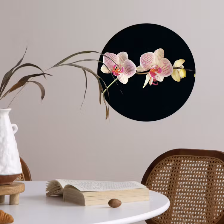 Behangcirkel - Orchidee - Bloemen - Zwart - Roze - Knoppen — 4
