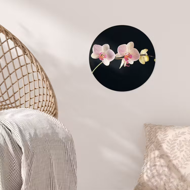 Behangcirkel - Orchidee - Bloemen - Zwart - Roze - Knoppen — 5