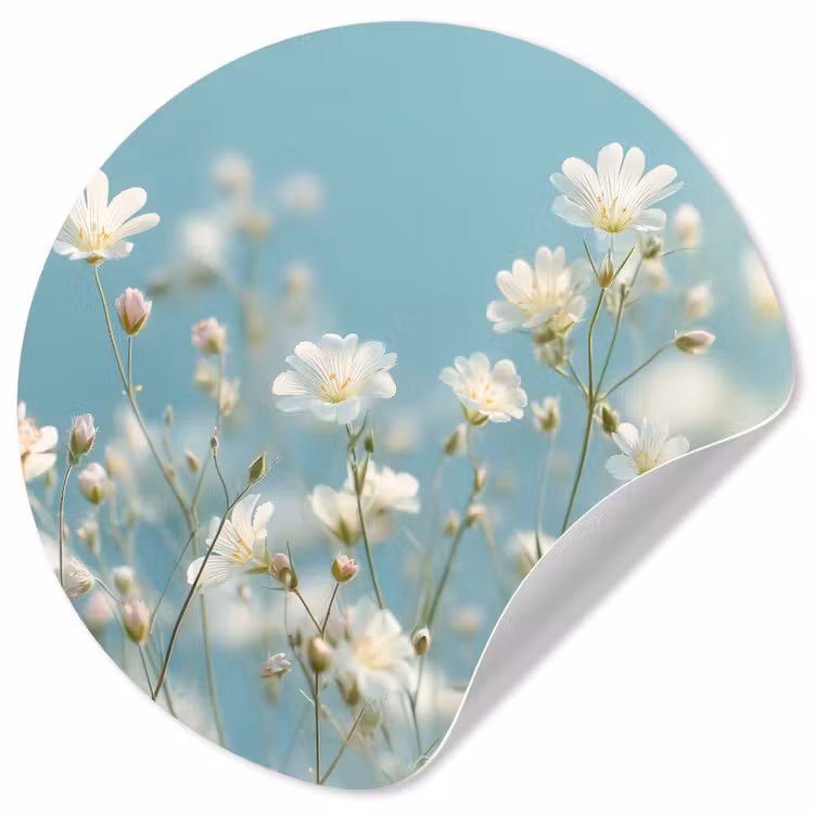 Behangcirkel - Stengels - Bloemen - Lucht - Wit — 1