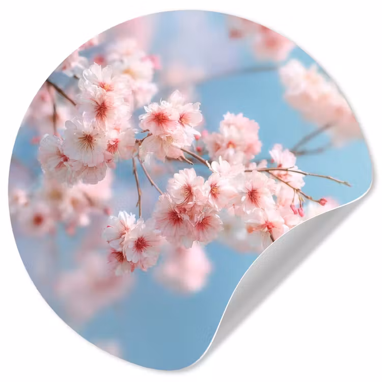 Behangcirkel - Takken - Bloesems - Roze — 1